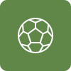 Soccer Futsal activity icon